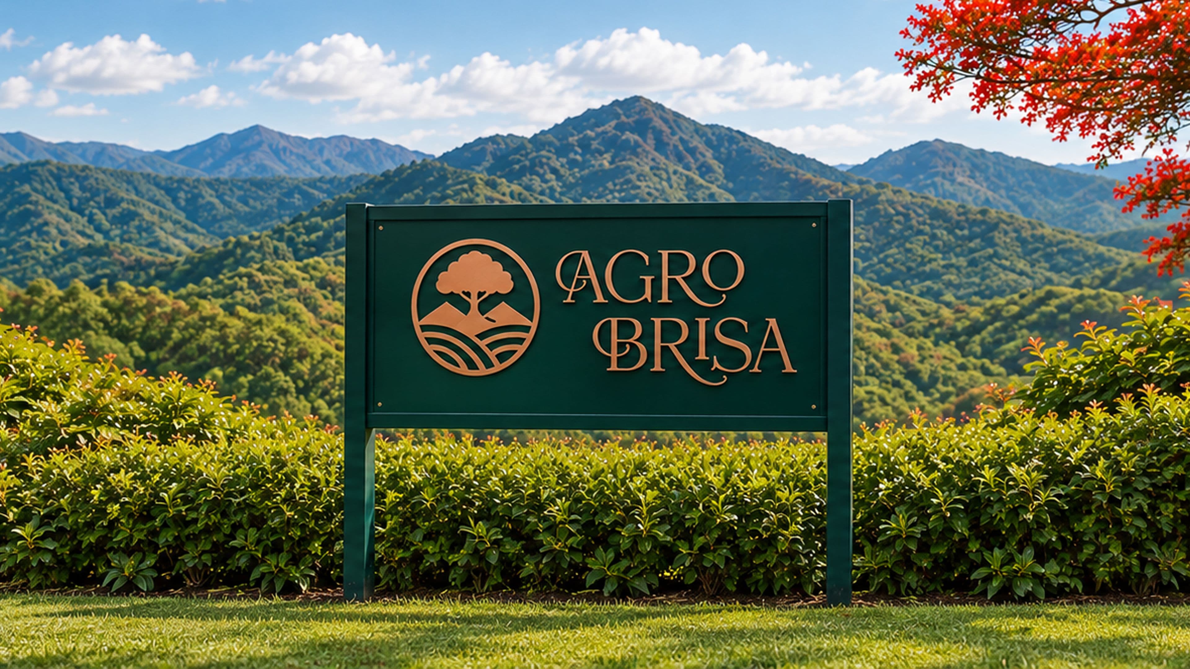 Agro Brisa